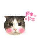 たんちゃちゃスタンプ2（個別スタンプ：19）