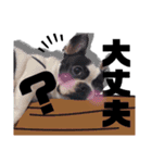 ふらん家（個別スタンプ：15）