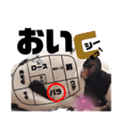 ふらん家（個別スタンプ：18）