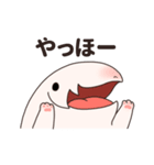 もちもちタマコ（個別スタンプ：1）