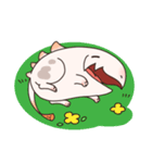 もちもちタマコ（個別スタンプ：40）