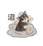 我が家のまろ3（個別スタンプ：11）