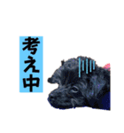 くーる.こむぎ（個別スタンプ：14）