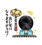 くーる.こむぎ（個別スタンプ：18）
