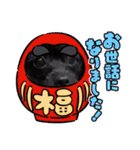 くーる.こむぎ（個別スタンプ：19）