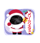 くーる.こむぎ（個別スタンプ：23）