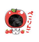 くーる.こむぎ（個別スタンプ：31）