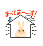 ウサギ-AAA（個別スタンプ：40）