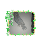 九ちゃん（九官鳥）（個別スタンプ：2）