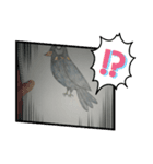 九ちゃん（九官鳥）（個別スタンプ：4）