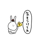 うさぎだけ。吹き出し。（個別スタンプ：16）