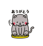 ぽっちゃり猫 オグオグ ver.2（個別スタンプ：1）