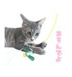 びびちゃん3かげつ（個別スタンプ：4）