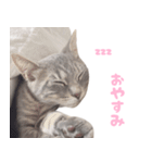 びびちゃん3かげつ（個別スタンプ：7）