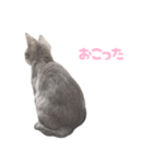 びびちゃん3かげつ（個別スタンプ：10）