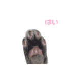 びびちゃん3かげつ（個別スタンプ：13）