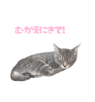 びびちゃん3かげつ（個別スタンプ：18）