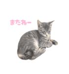 びびちゃん3かげつ（個別スタンプ：20）
