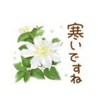 ほんわかさん【綺麗な花と丁寧語】No.34（個別スタンプ：3）
