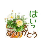 ほんわかさん【綺麗な花と丁寧語】No.34（個別スタンプ：31）