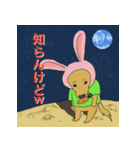 NO DOGS NO LIFE 4-5-6（個別スタンプ：17）