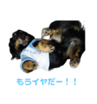 鈴木 大須賀（個別スタンプ：4）