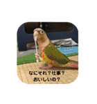 鈴木 大須賀（個別スタンプ：17）
