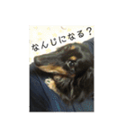 鈴木 大須賀（個別スタンプ：27）