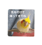 鈴木 大須賀（個別スタンプ：28）