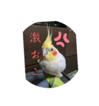 鈴木 大須賀（個別スタンプ：29）