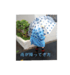 鈴木 大須賀（個別スタンプ：34）