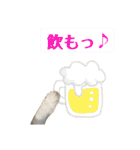 【仲良しネコの毎日】ハク兄さんスタンプ♪（個別スタンプ：23）