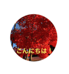 秋紅葉バージョン2（個別スタンプ：1）