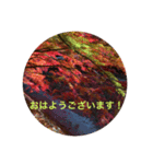 秋紅葉バージョン2（個別スタンプ：2）