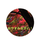 秋紅葉バージョン2（個別スタンプ：6）
