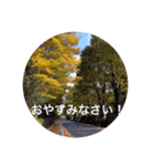 秋紅葉バージョン2（個別スタンプ：8）