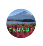 秋紅葉バージョン2（個別スタンプ：11）