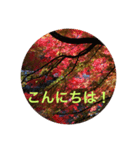 秋紅葉バージョン2（個別スタンプ：12）