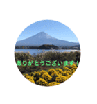 秋紅葉バージョン2（個別スタンプ：13）