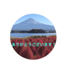 秋紅葉バージョン2（個別スタンプ：18）