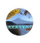 秋紅葉バージョン2（個別スタンプ：20）