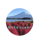 秋紅葉バージョン2（個別スタンプ：23）