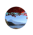 秋紅葉バージョン2（個別スタンプ：24）