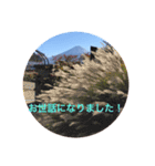 秋紅葉バージョン2（個別スタンプ：30）