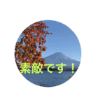 秋紅葉バージョン2（個別スタンプ：31）