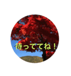 秋紅葉バージョン2（個別スタンプ：32）