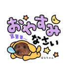 はなちゃん(トイプー)の愛犬スタンプ（個別スタンプ：40）