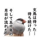 ことりカフェ心斎橋の文鳥スタッフ写真編（個別スタンプ：15）