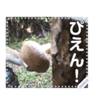 【きのこ】しいたけ原木栽培（個別スタンプ：9）