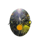 光のメッセンジャー（個別スタンプ：8）